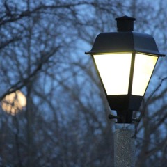 Cinema Tonight: "Winter Continues" - 2022-01-15