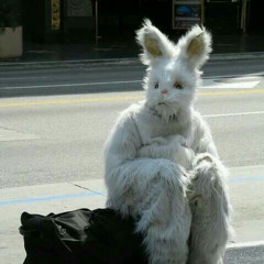 VEM COMER MINHA TCHEK*