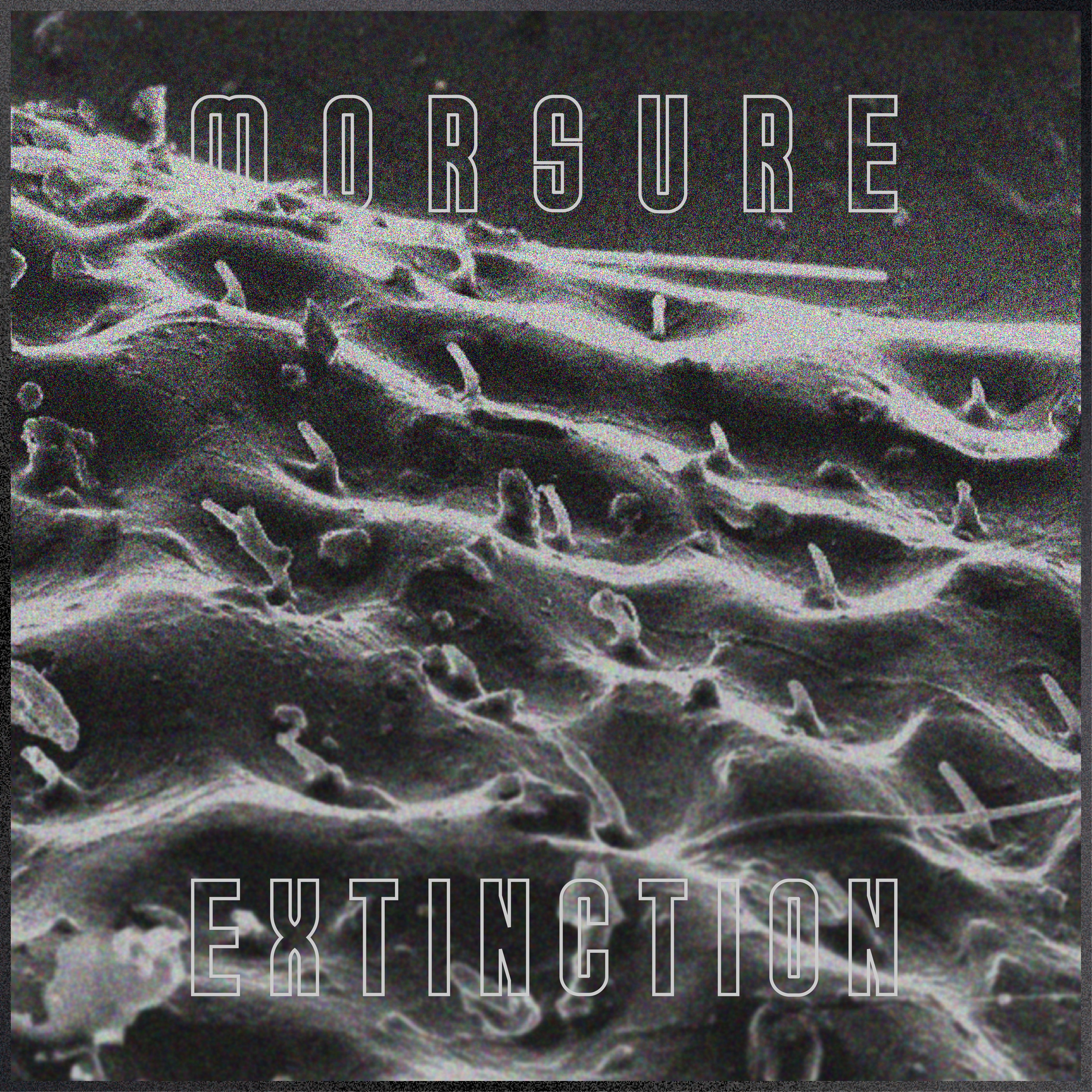 MORSURE – Extinction