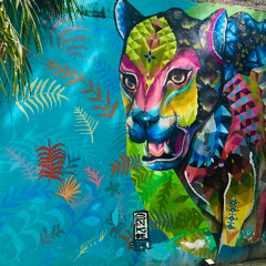 El Techo Sunset Mix | 12.6.2025 | Latin House // Minimal // Tech House