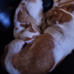 may you never forget me (slowed - shotcut)