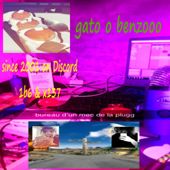 gato o benzooo mix pluggnb