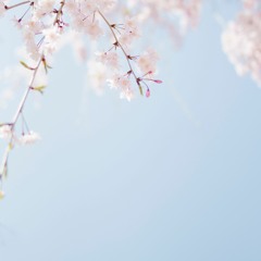 봄의 마지막 날 (Last Day of Spring)