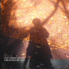 i had a dream last night