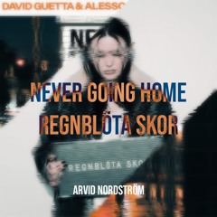 Never Going Home Tonight X Regnblöta Skor (AN Mashup)