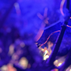 Rewind Everyting- Glowing Particles Edit ( From the EP Rewind Everything/ See info)