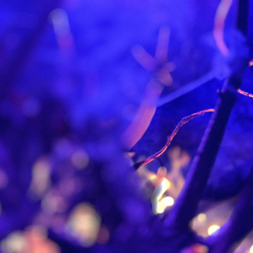 Rewind Everyting- Glowing Particles Edit ( From the EP Rewind Everything/ See info)