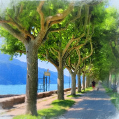 A l'ombre du rivage (Shore shadow)
