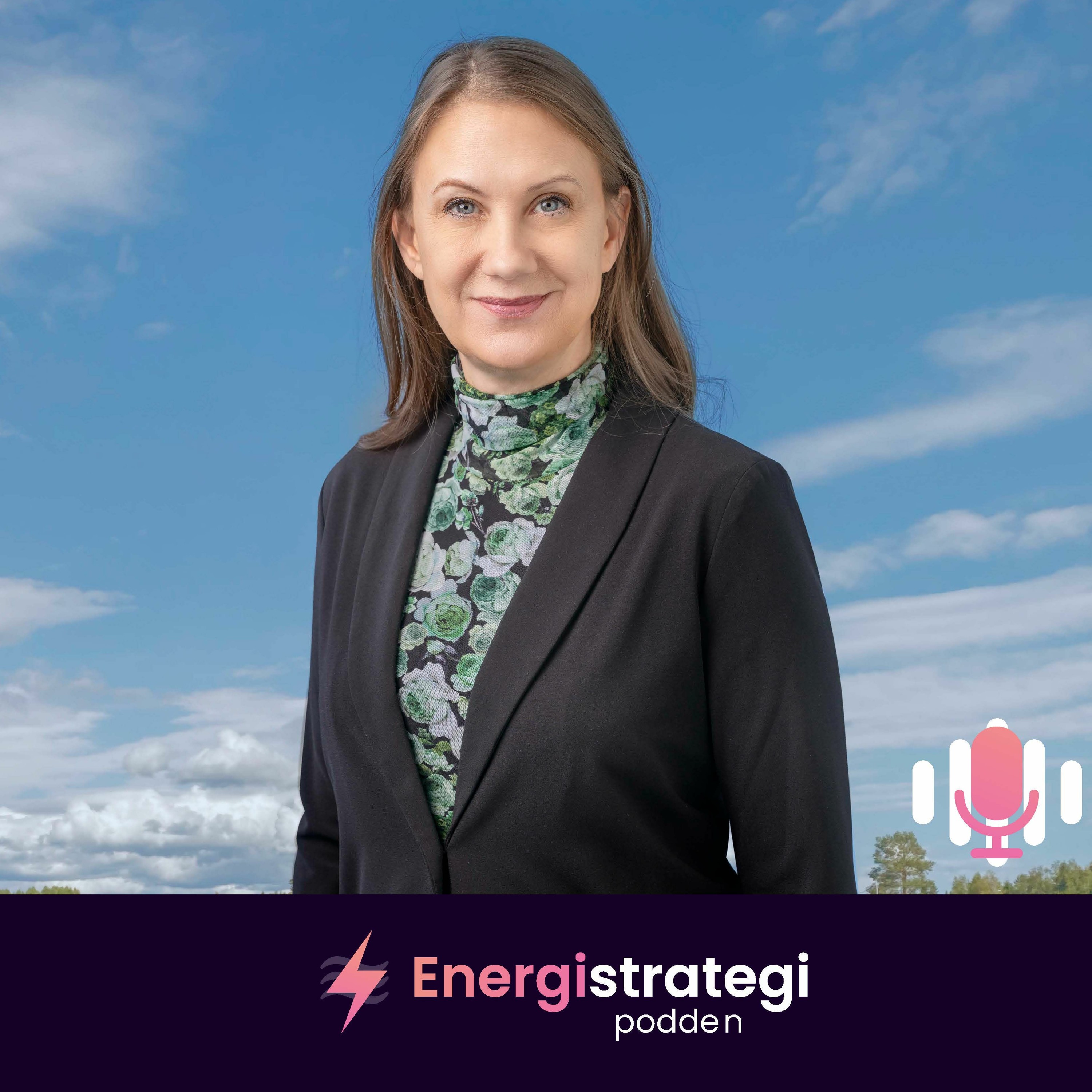 Energistrategipodden