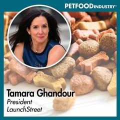 Neuroleadership and business innovation with Tamara Ghandour of LaunchStreet