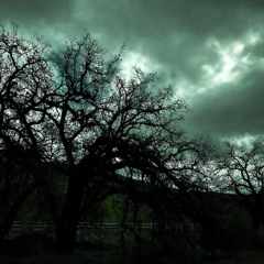 WAR ft. kidomonet [Hitech + Keykelly]