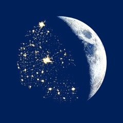 Ticket to the Moon