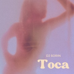 DJ Sorin - Toca