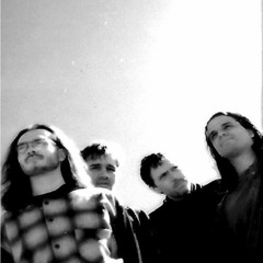 Freefall LIVE
