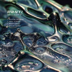 Sonic Stingray - Pønti