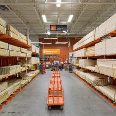 Stray Bird Flying Around The Home Depot