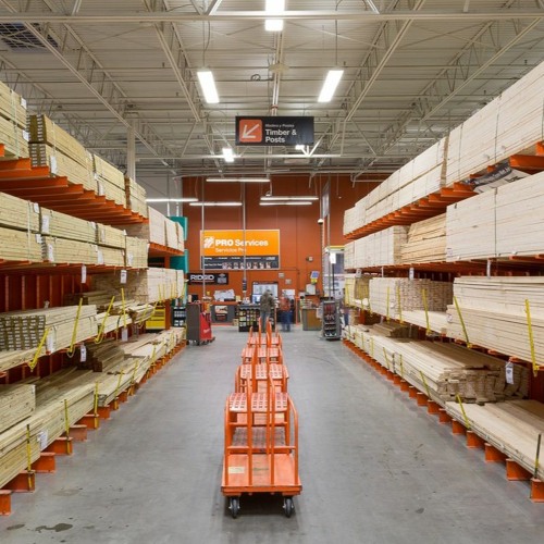 Stray Bird Flying Around The Home Depot