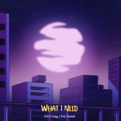 Artist & Shagg_E  What I Need (prod.) TechNeak$