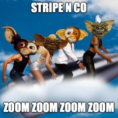ZOOM ZOOM ZOOM ZOOM