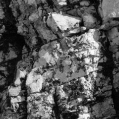 White Monday In a Can