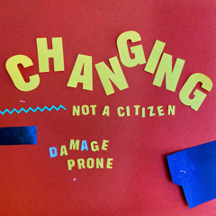 Damage Prone
