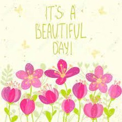 It's Wonderful Today