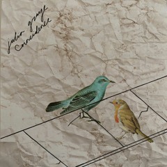 'Coincidence' Julia Graye