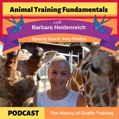 38 - The History of Giraffe Training with Amy Phelps