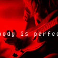 nobody is perfect versjon 7