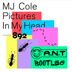 MJ Cole - Pictures in my head (A.N.T bootleg)