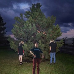 hand crushed by a mallet - 100 gecs (york remix)