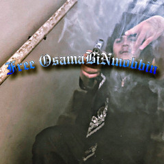 FreeOsamaBINmobbin - JayzGang