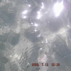4FR33