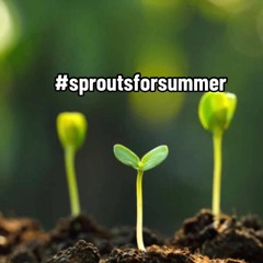 Mix of Healing 🌱❤️ #sproutsforsummer