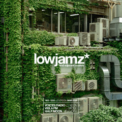 lowjamz* [MAR2025]