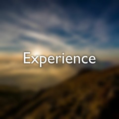 Experience