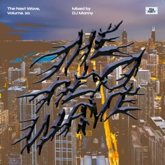 The Next Wave, Volume. 20 - Mixed By DJ Manny