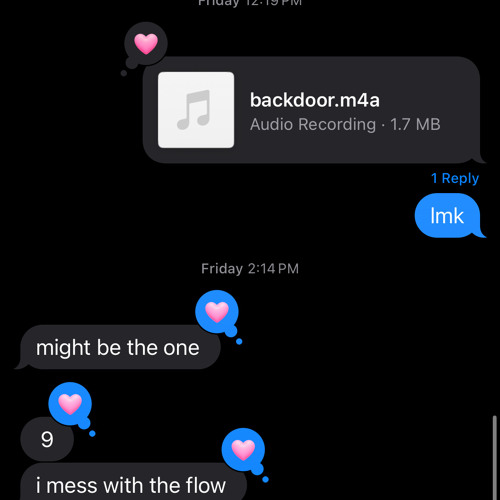 backdoor