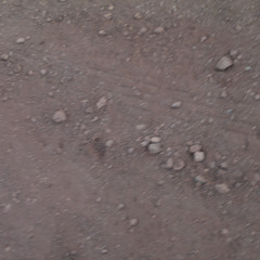 les collines ont des yeux