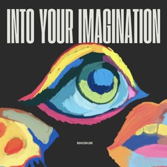 Into Your Imagination (Original Mix)