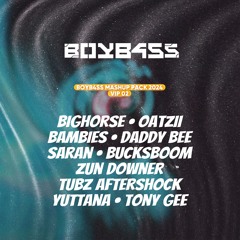 BOYB4SS EDM MASHUP PACK 2024 [ VIP02 ]