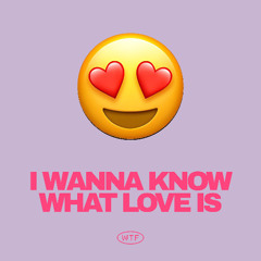 Kevin McKay - I Want To Know What Love Is (Extended Mix) [WTF]