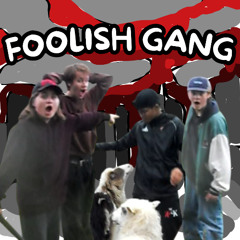 THE FOOLISH GANG (SINGEL VERSION)
