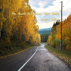 The Sound Of Autumn Wind ASMR