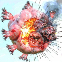 throat, heart, eyeballs