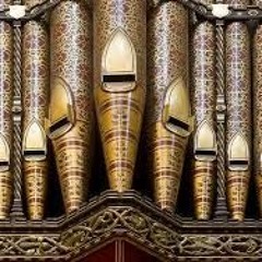 Nov. 9. 17.05  A  Skatch  of  an  Organ Concert