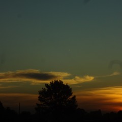 pipipipipi (un avión se estrelló en el patio de mi casa)
