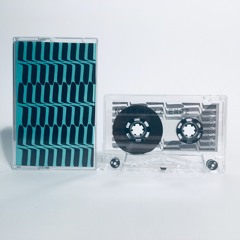 NYZ - BUCHLA - WAVEFORM - SYNTHESIZER MODEL 132+MANIAC - MILLZ EXPZ Cassette