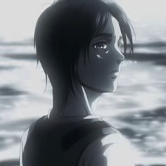 salvia palth - dream (slowed) + attack on titan