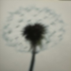 Followed By Footsteps